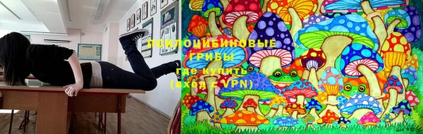 молекула духа Алексеевка