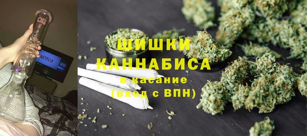 spice Алзамай