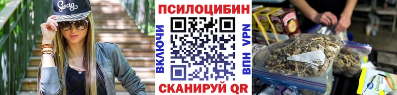 купить наркоту  Новоалександровск  Галлюциногенные грибы GOLDEN TEACHER 