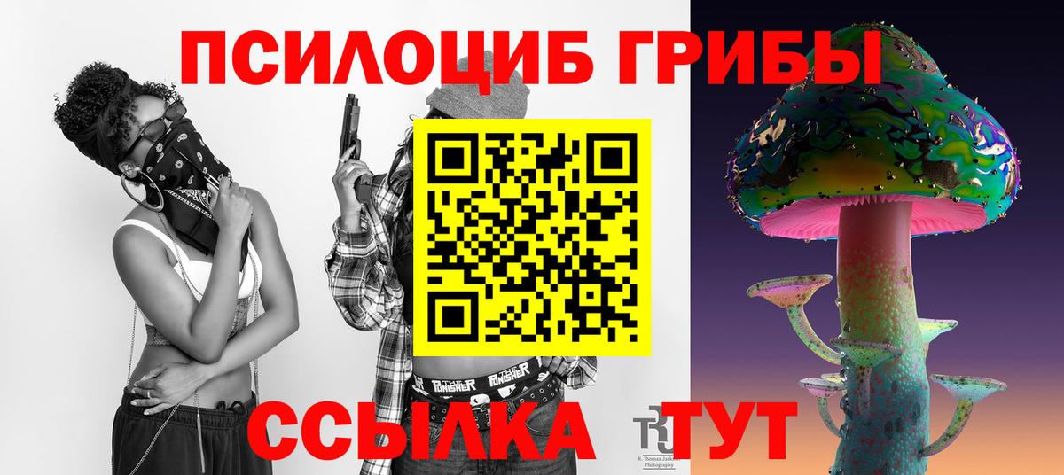Галлюциногенные грибы ЛСД Новоалександровск