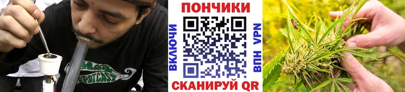 Бошки Шишки семена  Новоалександровск 